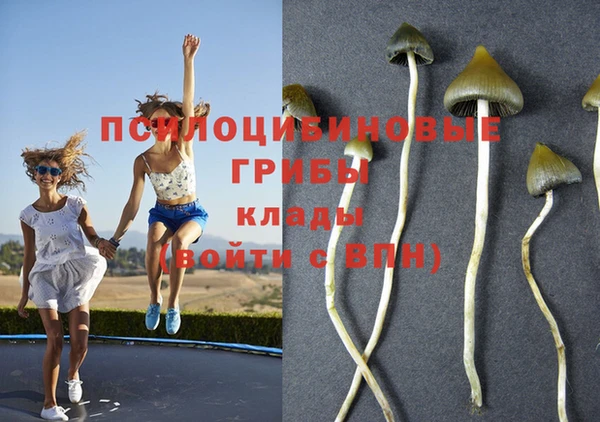 круглые Дмитровск