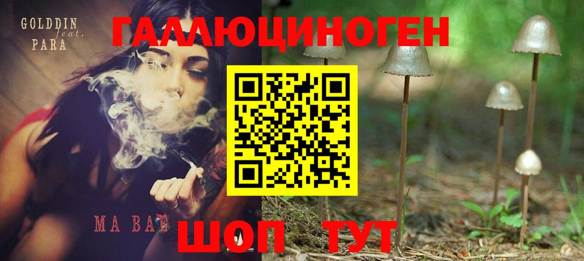 Псилоцибиновые грибы прущие грибы Москва