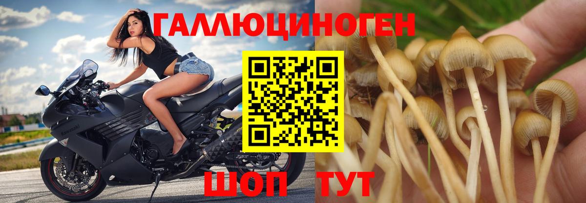 Галлюциногенные грибы ЛСД  Вход с VPN  Москва 
